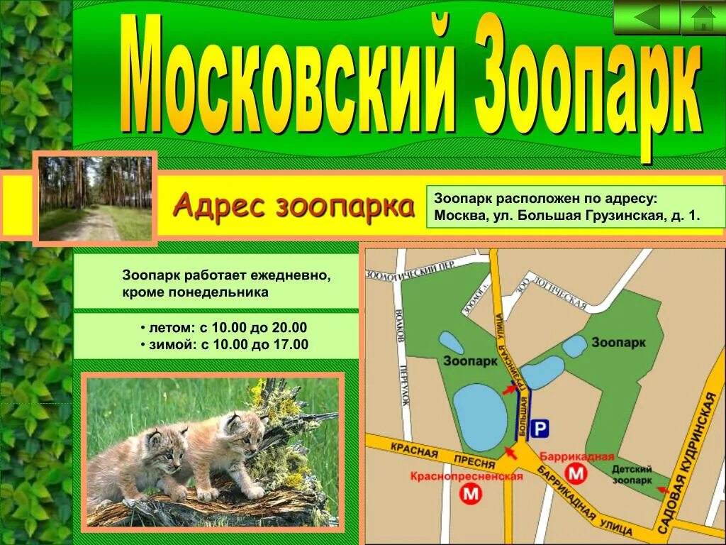 Зоопарк адрес. Брошюра Московский зоопарк. Московский зоопарк Москва. График зоопарк Московский зоопарк.