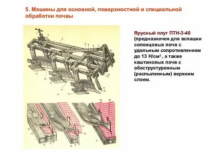 Плуг сканворд 5