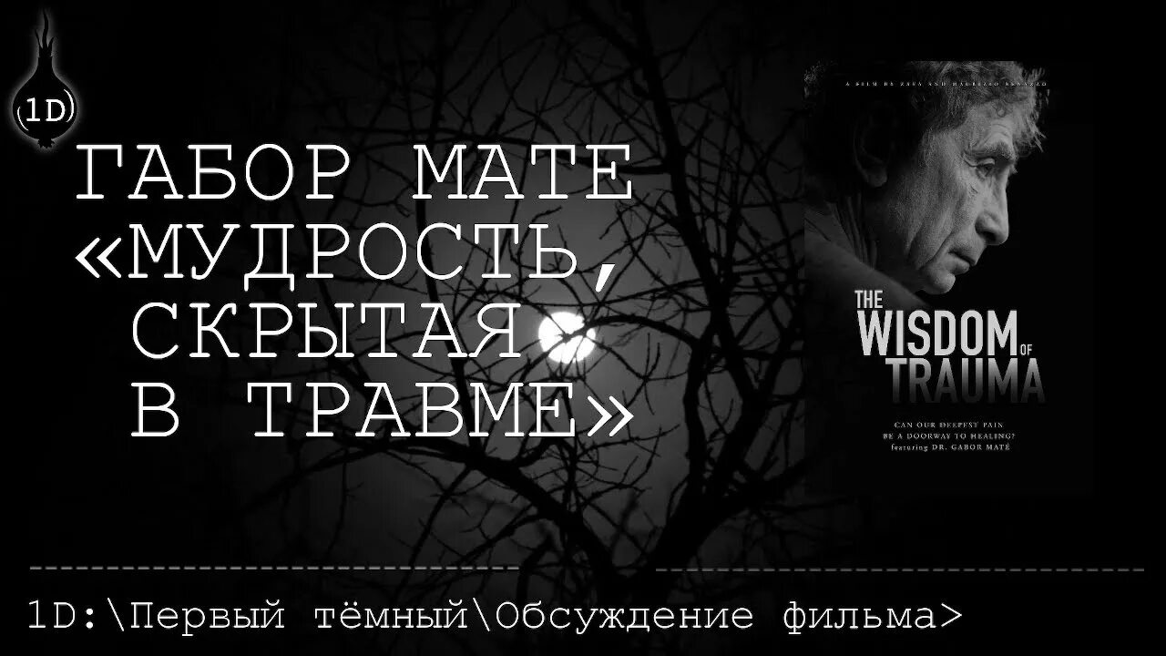 Мудрость травмы. Мудрость сокрытая в травме постер. Фильм «wisdom of trauma». Габор мате мудрость сокрытая в травме фильм. Фильм «wisdom of trauma».