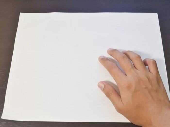 Какой лист бумаги крупнее чем а 4. Складывать лист бумаги. Изогнутый лист бумаги. Листок со сгибает. Обычный лист бумаги.