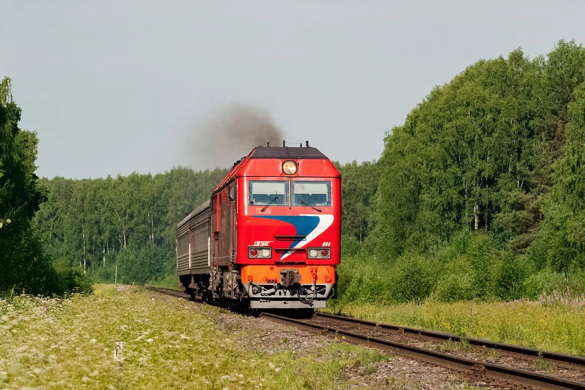 железнодорожный транспорт 2018. станция нахабино мцд. современные поезда. Siemens velaro 2021. Siemens velaro сапсан.