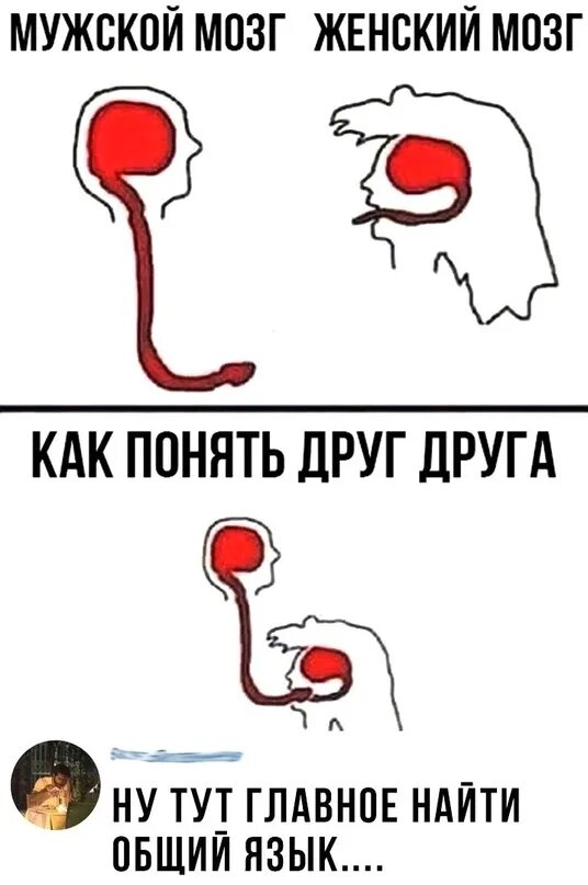 С вами трудно найти общий язык тест