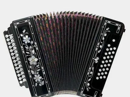 Гармошка 4