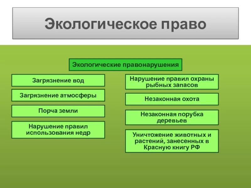 Экологические правонарушения. Экологическое право. Виды экологических прав. Виды экологических преступлений.