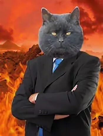 Baron von meowsberg. Baron von meowsberg. Картинки барон мюнхгаузен из учебника немецкого языка. Роман федорович унгерн-штернберг. Baron von meowsberg.