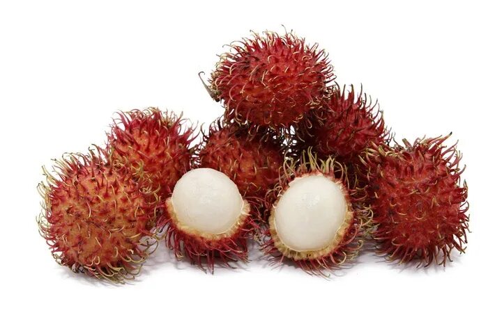 маленький фрукт ежик