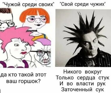 Феминитивы признали