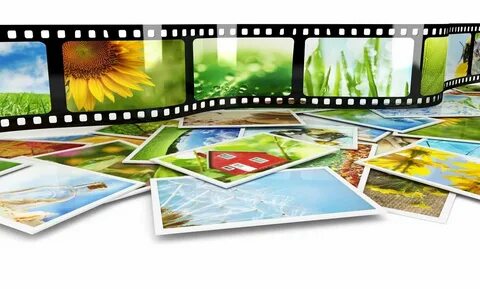 Gallery video model