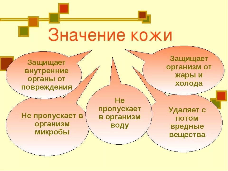 Какие функции имеет кожа. Доклад на тему значение кожи для организма. Значение кожи для организма человека 4 класс окружающий мир. Значение кожи для человека. Прольт кожи в жизни человека.