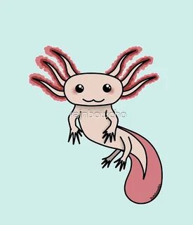 Рисунок аксолотля
