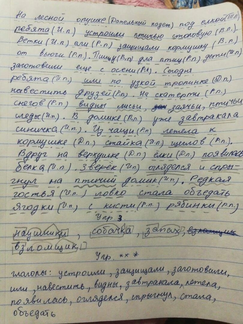 Таня и витя жили в деревне. На лесной опушке под елкой они устроили птичью столовую. диктант редкая гостья ребята жили в деревне. ребята жили в деревне недалеко от леса на лесной опушке. ребята жили в деревне недалеко.