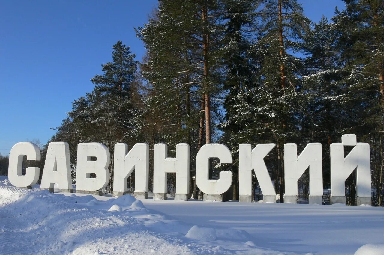 Посёлок Савинский Плесецкого района. Поселок Савинский Плесецкого района Архангельской области. Савинский цементный завод Архангельская область Плесецкий район. Савинский фото.