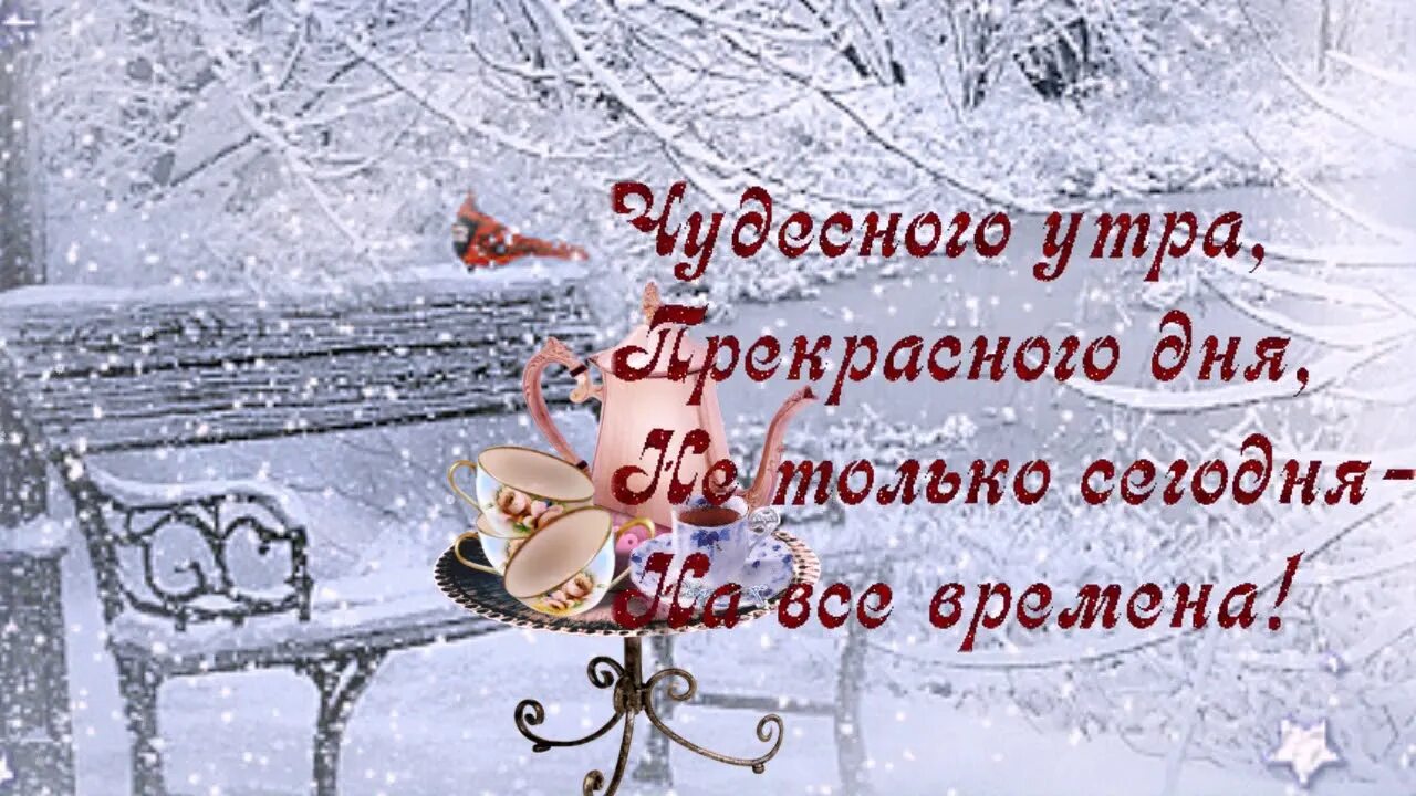 И в январе пусть бьется серый