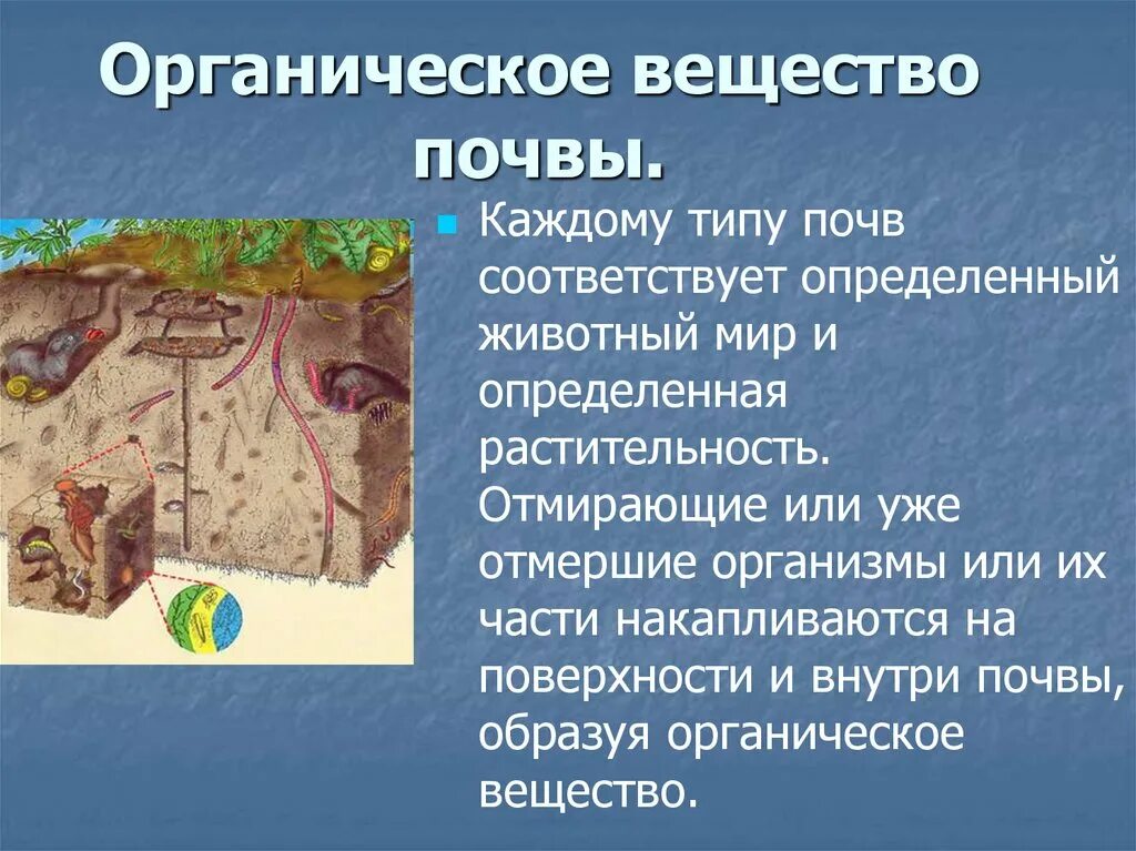 Организмы разрушающие органические. Органическое вещество почвы. Органические соединения в почве. Почвенное органическое вещество. Происхождение органических веществ почвы..