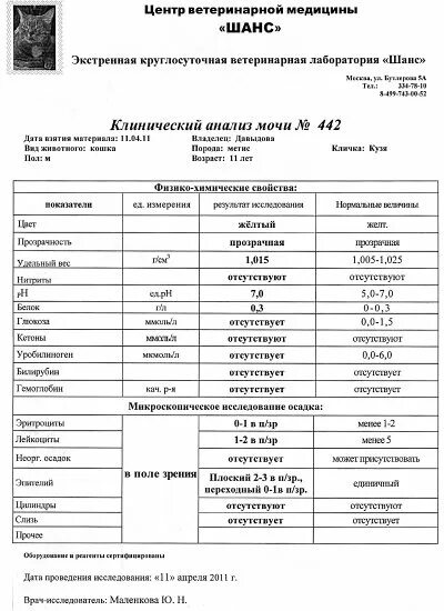 Как должен выглядеть анализ мочи После обвинений в наркомании Маша Малиновская опубликовала результаты анализов