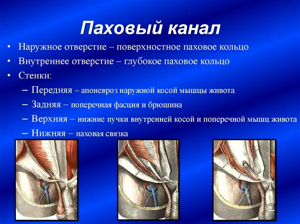 Как правильно бриться без раздражения девушке - найдено 88 картинок