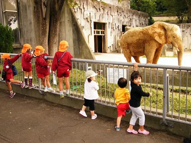 Do you like the zoo. Дети Лондонский зоопарк. Zoo для детей. Лондонский зоопарк зона для детей. Дети страны зоо.