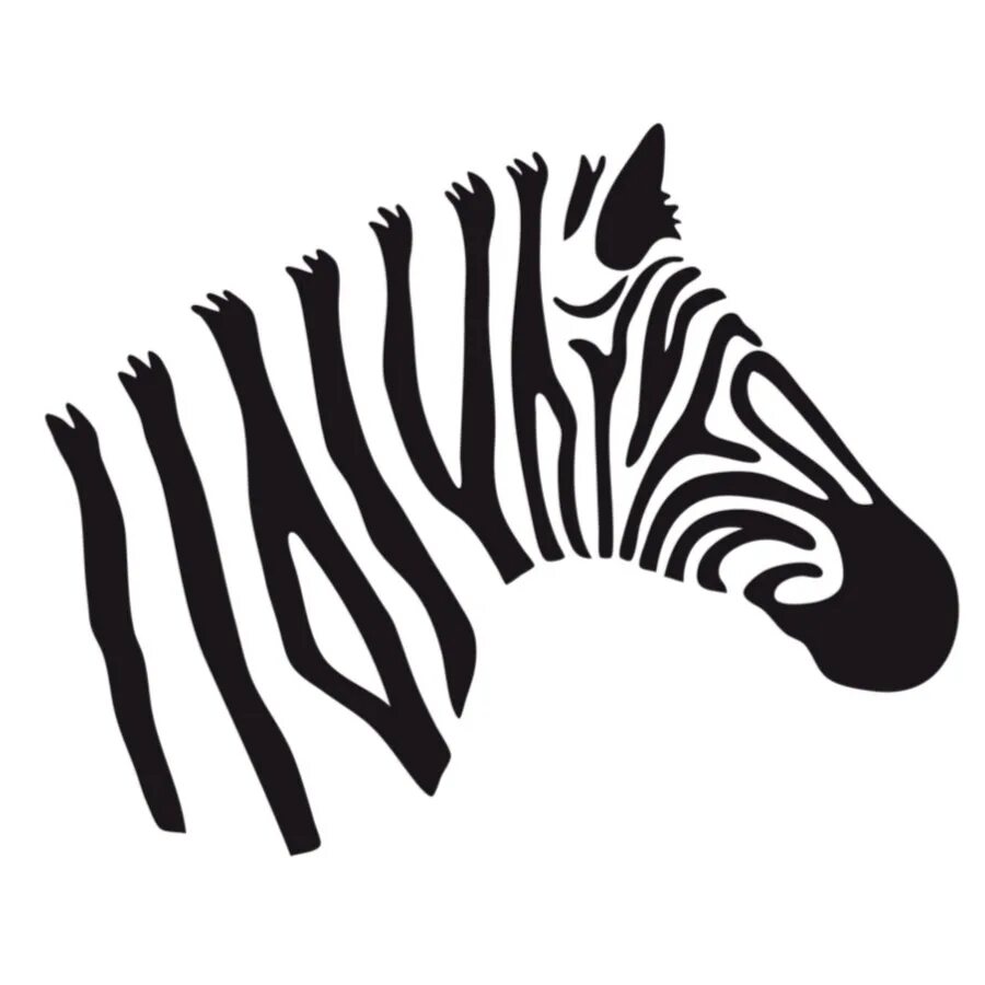 Zebra 2d