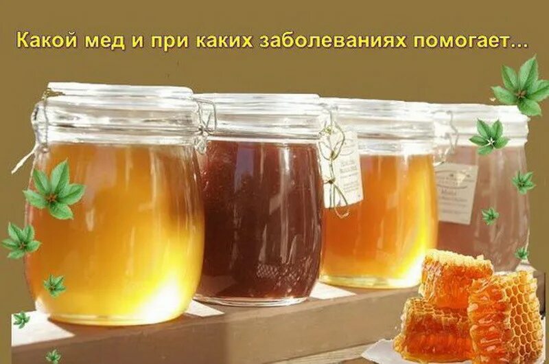 При каких заболеваниях помогает. Какой мед и при каких заболеваниях помогает?. самый полезный мед какой. какой мед самый ценный и полезный. какой мёд самый полезный для женщин.