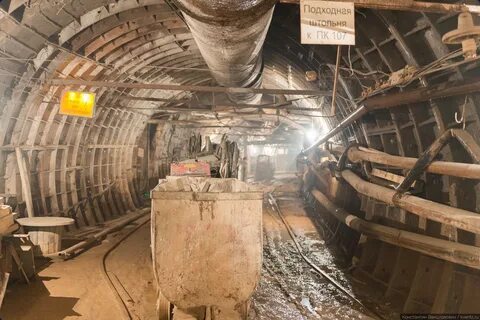 Подсолнечная петровско разумовская
