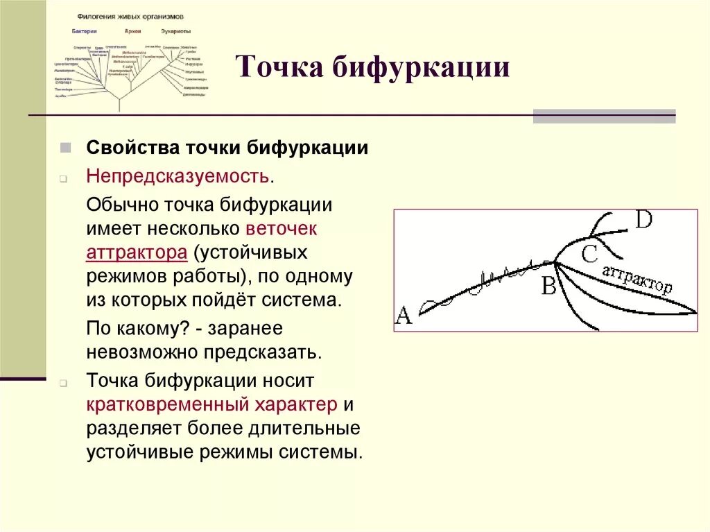 Точка бифуркации 6 читать смит. Точка бифуркации. Точка бифуркации в синергетике. Точка бифуркации человека. В точке бифуркации система.