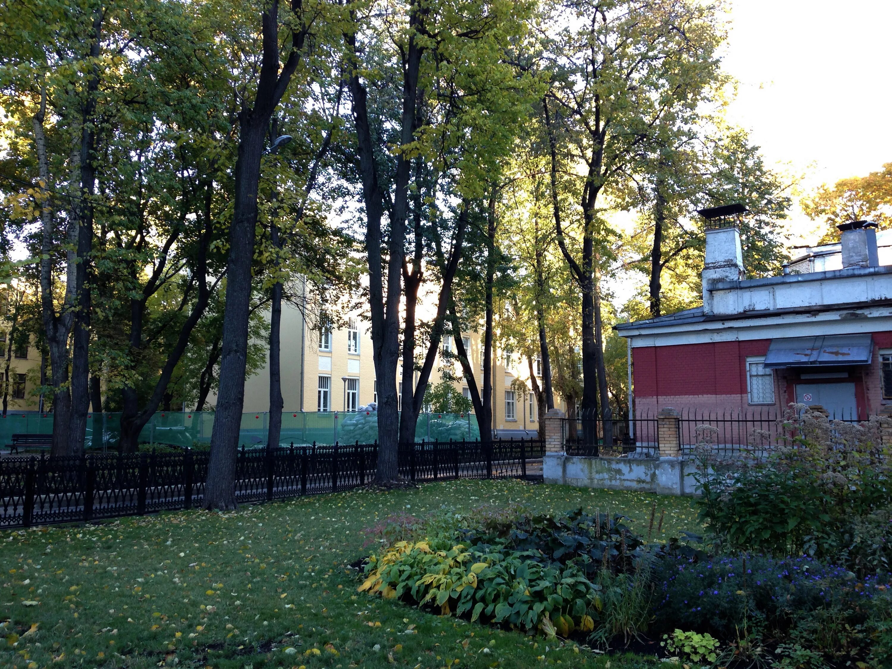 Д боткинская