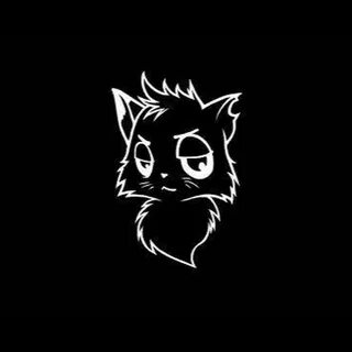 Кот блоггер ютуб