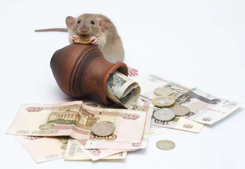 Кормить деньги. Богатая семья с деньгами. Алименты фон. Доллар для детей. Дети и деньги.