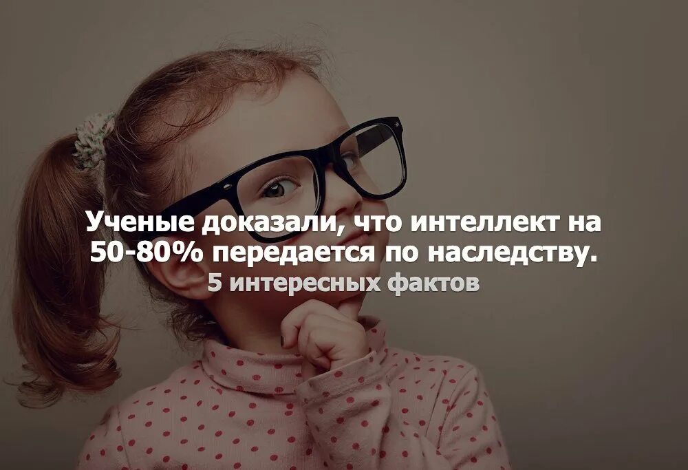От кого передается интеллект ребенку. Интеллект ребенку передается от матери. передача умственных способностей по наследству. интеллект дочери передается от кого.