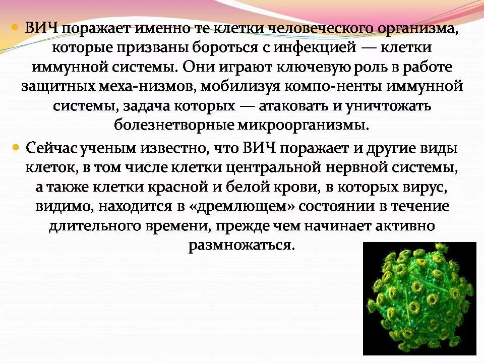 Спид вызван вирусом. Клетки иммунной системы которые поражает ВИЧ. ВИЧ поражает клетки иммунной системы. Вирусы иммунодефицита поражают клетки. Вирус ВИЧ инфекции поражает клетки.