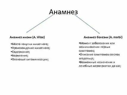 Виды анамнеза