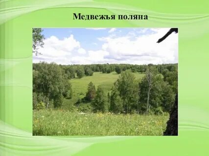 Медвежья поляна