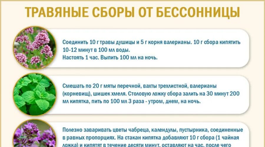 Что нужно выпить чтобы уснуть быстро. Растения от бессонницы. Травы помогающие уснуть. Травы от нарушения сна. Что попить чтобы спать