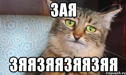 Не зову меня зая зови