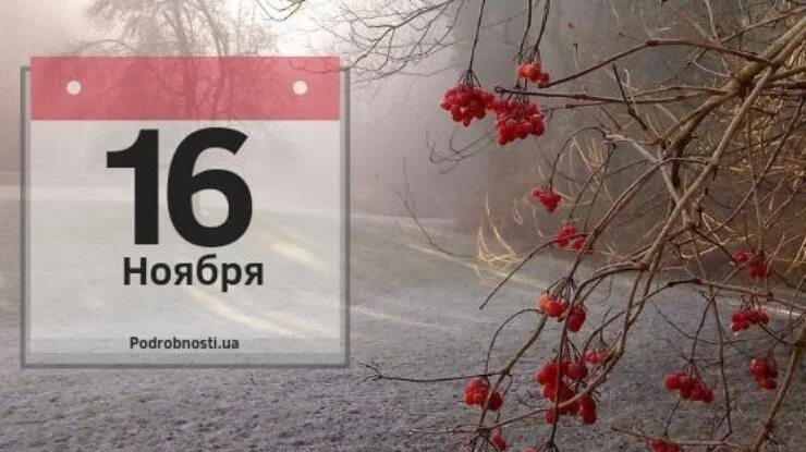 16 ноября даты. 16 Ноября календарь. Ноябрь надпись. 16 Ноября надпись. 16 Ноября календарь фото.