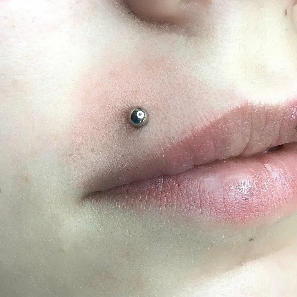 салоны где прокалывают. салоны где прокалывают. пирсинг салон новый оскол. салоны где прокалывают. салоны где прокалывают.