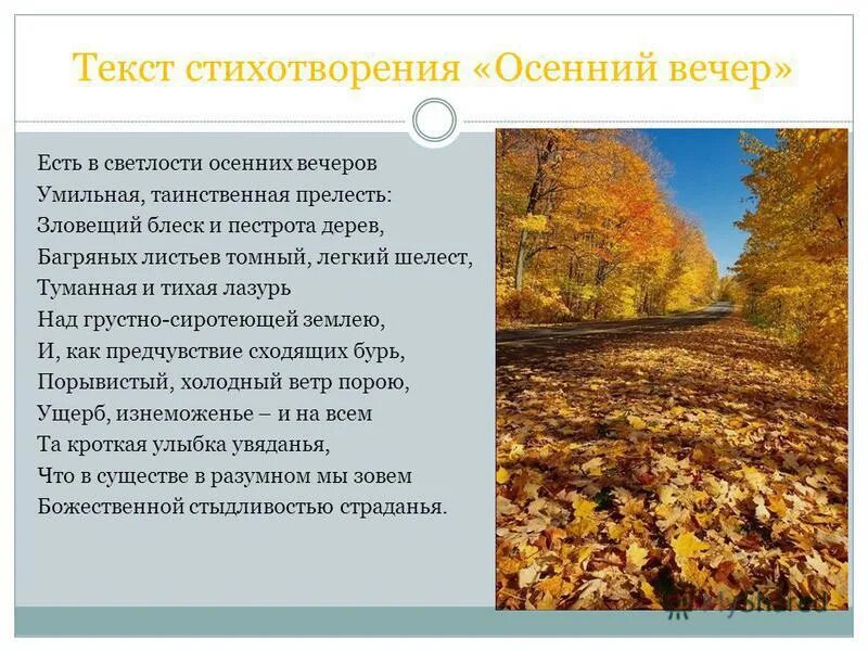 над грустно сиротеющей землею