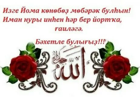 Рима зайтун туган булгач