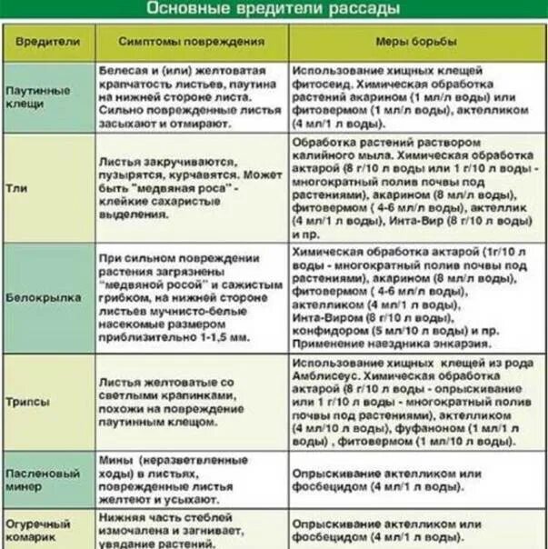 Болезни растений таблица. Обработка огорода от вредителей и болезней. Таблица препаратов от вредителей и болезней. Вредители и болезни растений. Назовите меры борьбы