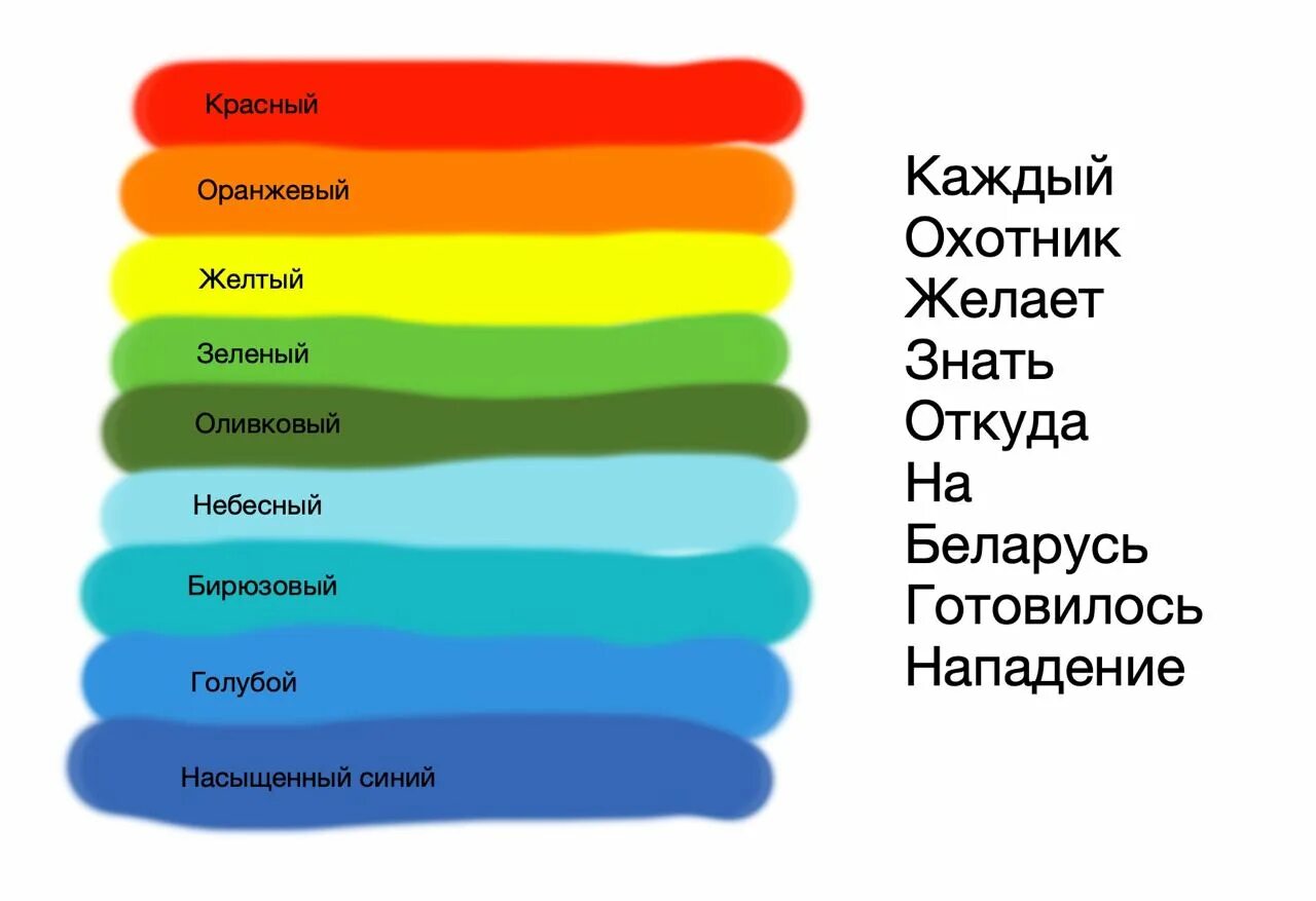 На беларусь готовилось нападение. Каждый охотник желает знать откуда на Беларусь. Каждый охотник желает знать где сидит фазан цвета. Каждый охотник. Откуда готовилось нападение.