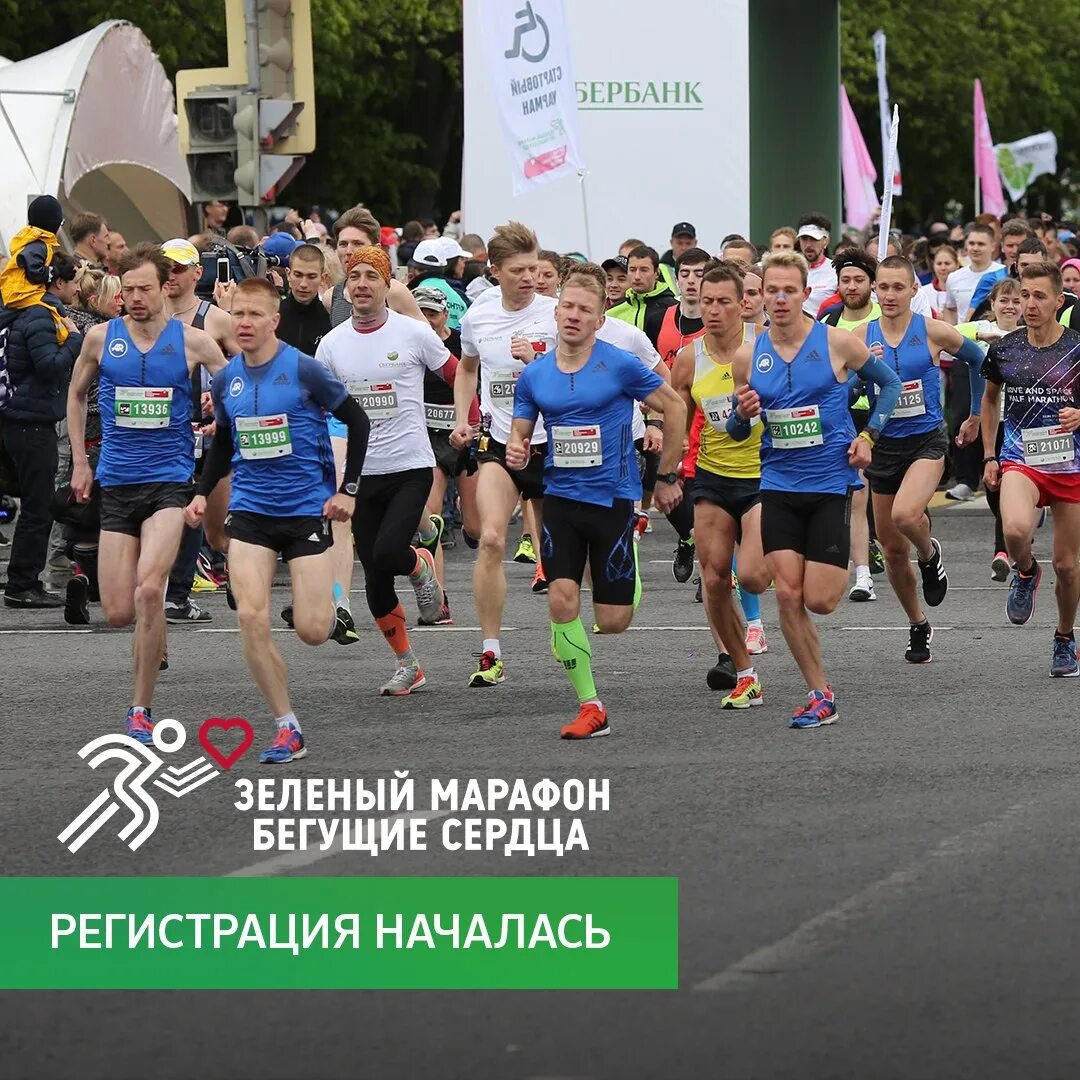 Greenmarathon sberbank ru. Зеленый марафон бегущие сердца. Сбербанк бегущие сердца. Зеленый марафон Сбербанк. Забег Сбербанк.