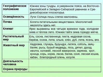 Дай краткую характеристику лесных зон по плану