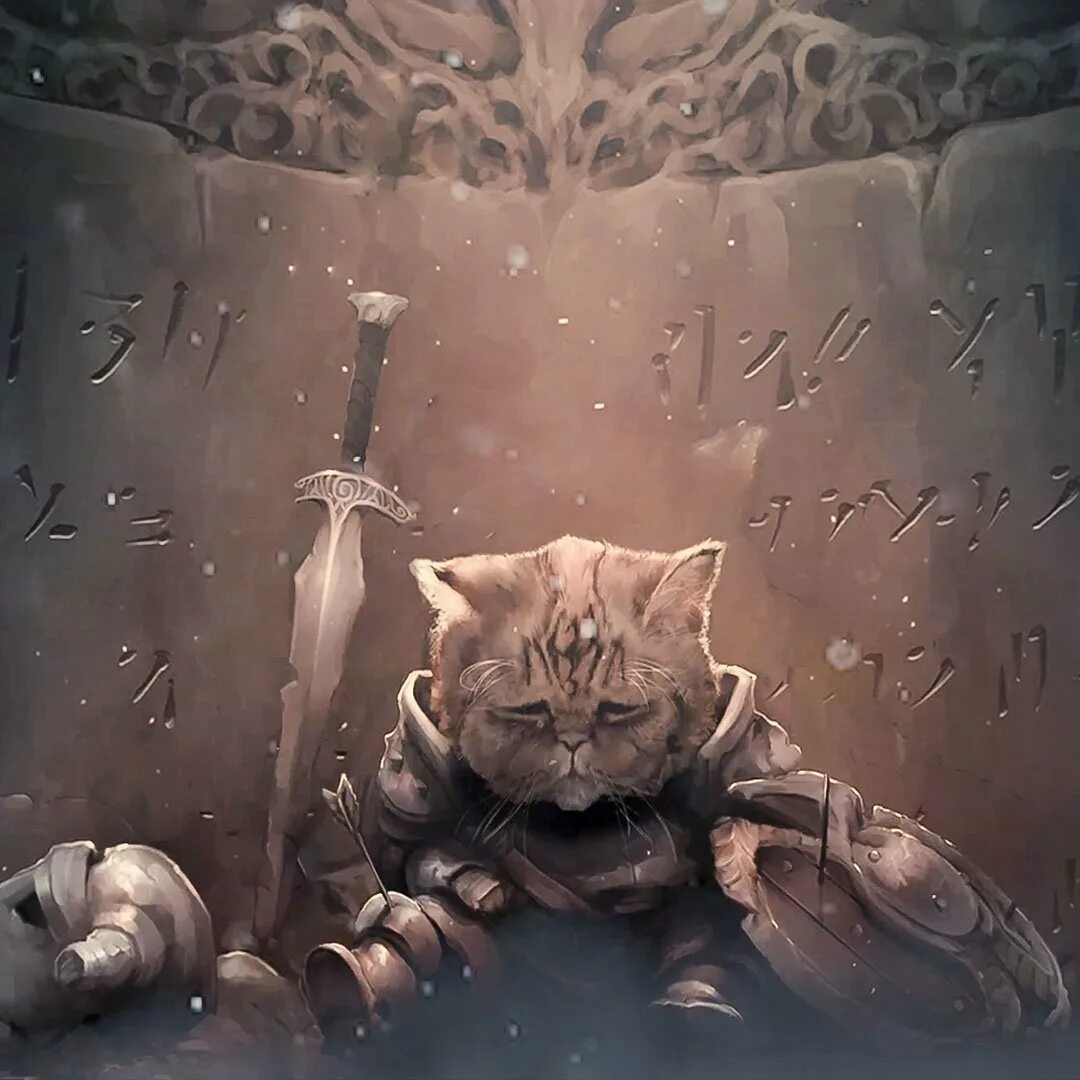 Кот после битвы. Скайрим каджит котик. кот рыцарь. грустный кот арт. кот в рыцарских доспехах.