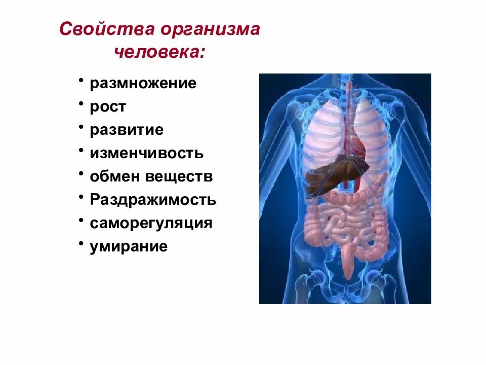 Организм свойства организмов презентация. Характеристики организма человека. Свойства организма человека. Свойства организмов. Понятие об органе и системе органов.