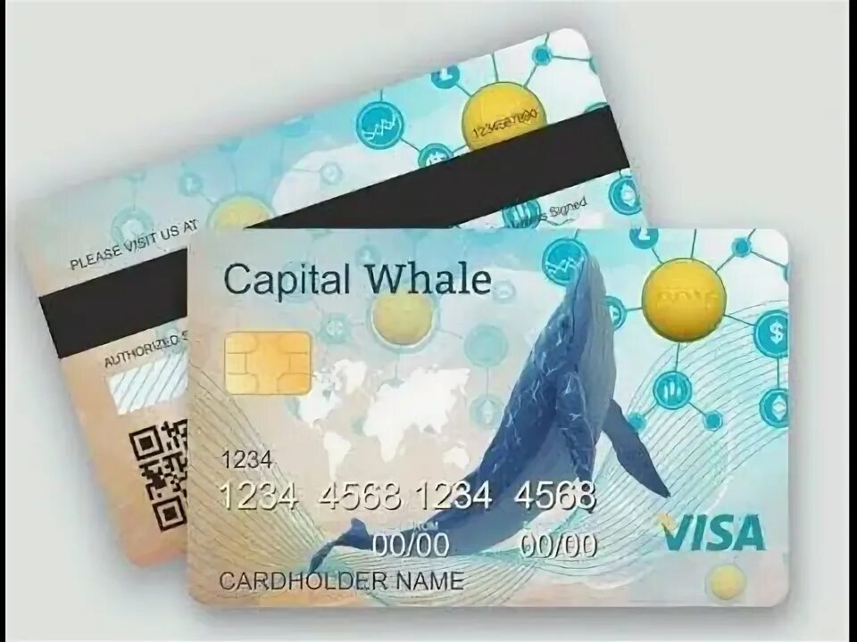 Capital whale. Capital whale