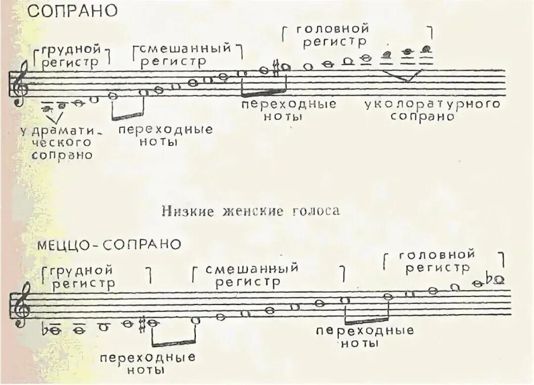 Три регистра. Диапазон баритона и переходные Ноты. Переходные Ноты у голосов сопрано. Вокальные регистры. Вокальные регистры певческого голоса.