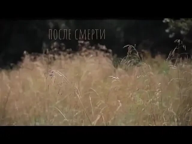 Там яра