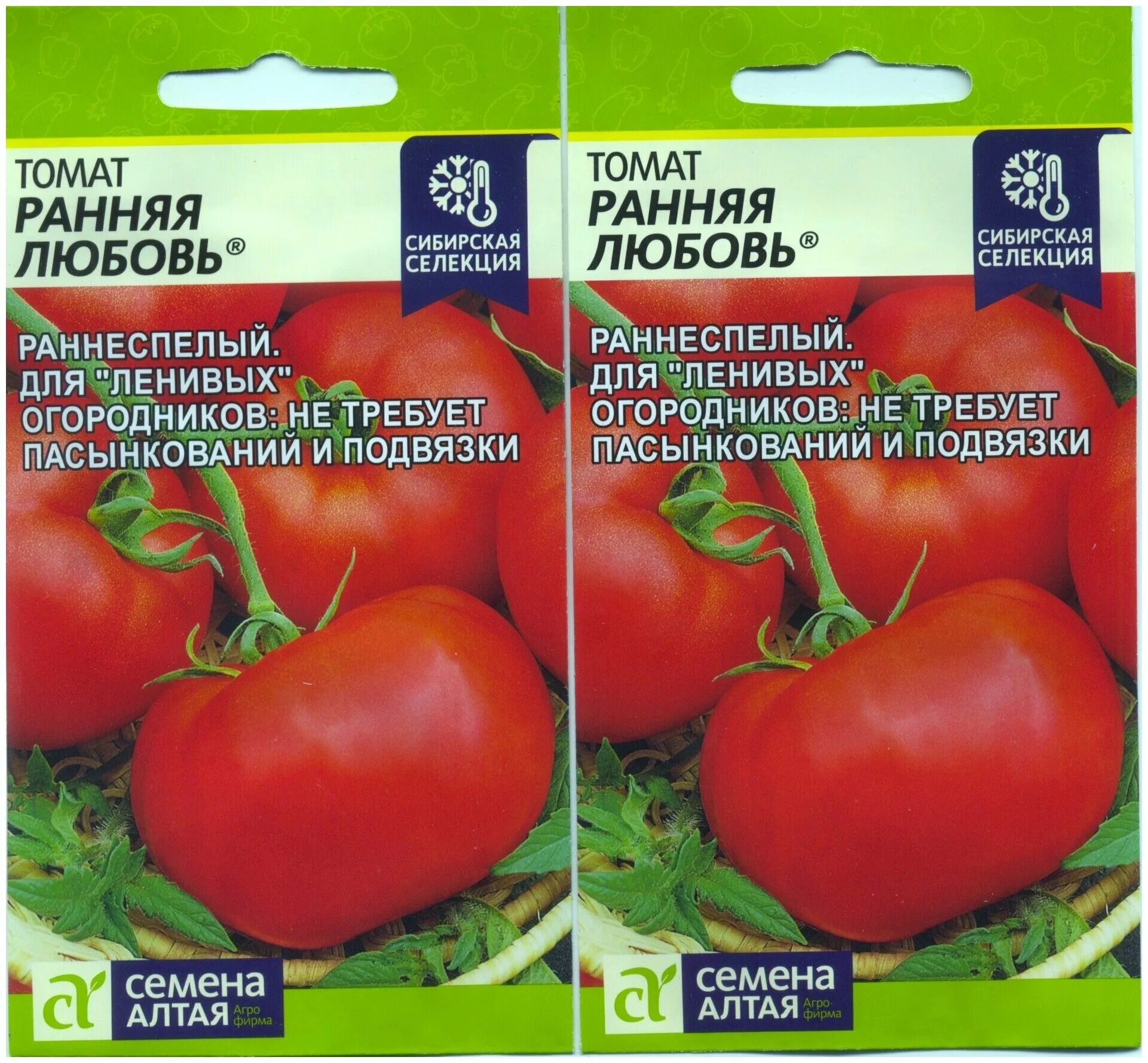 Помидоры ранний отзывы фото