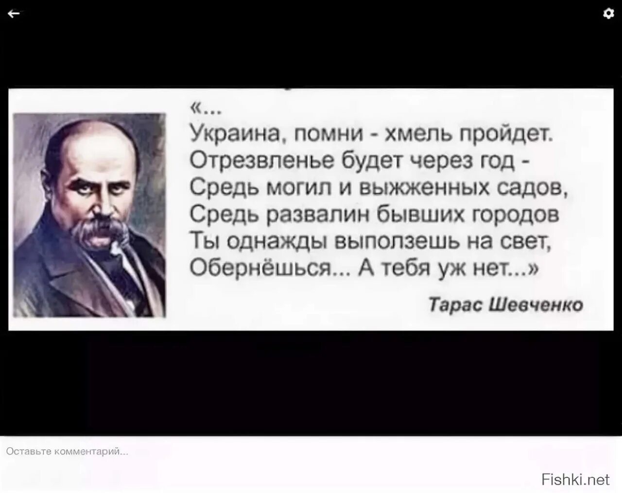 Шевченко стих про украину