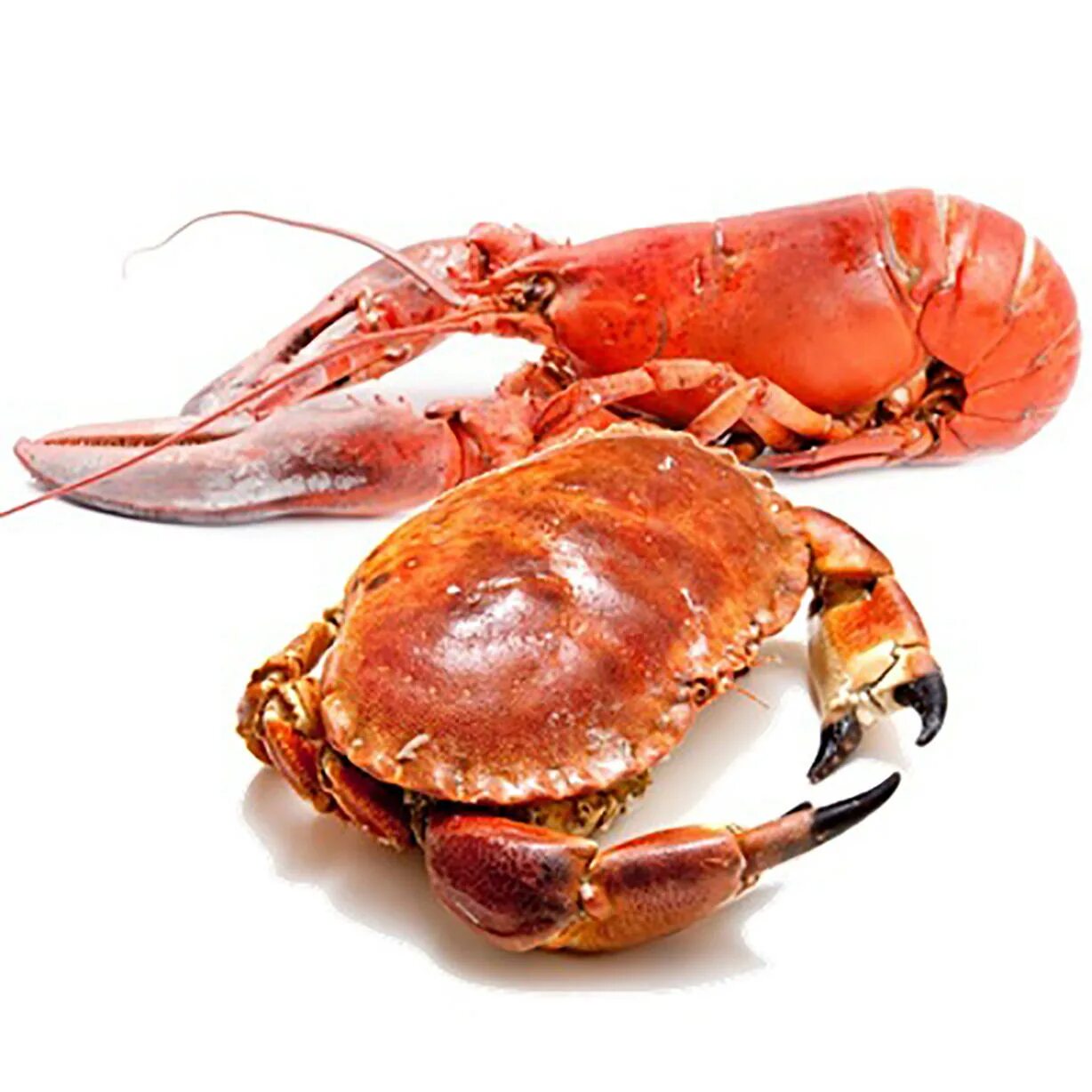пальмовый краб. Royal crab краснодар. живые раки, балаково. речной омар. раковых краб краснодар.